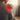 Person holding shoulder with red highlight indicating pain
